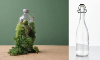 Tái sử dụng chai lọ thủy tinh: Từ mô hình refill đến vòng đời khép kín