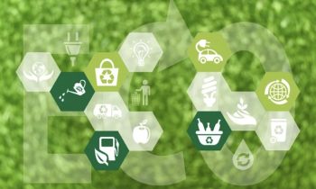 Thị trường toàn cầu và xu hướng “xanh hóa” bao bì