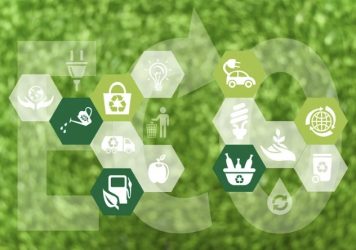 Thị trường toàn cầu và xu hướng “xanh hóa” bao bì